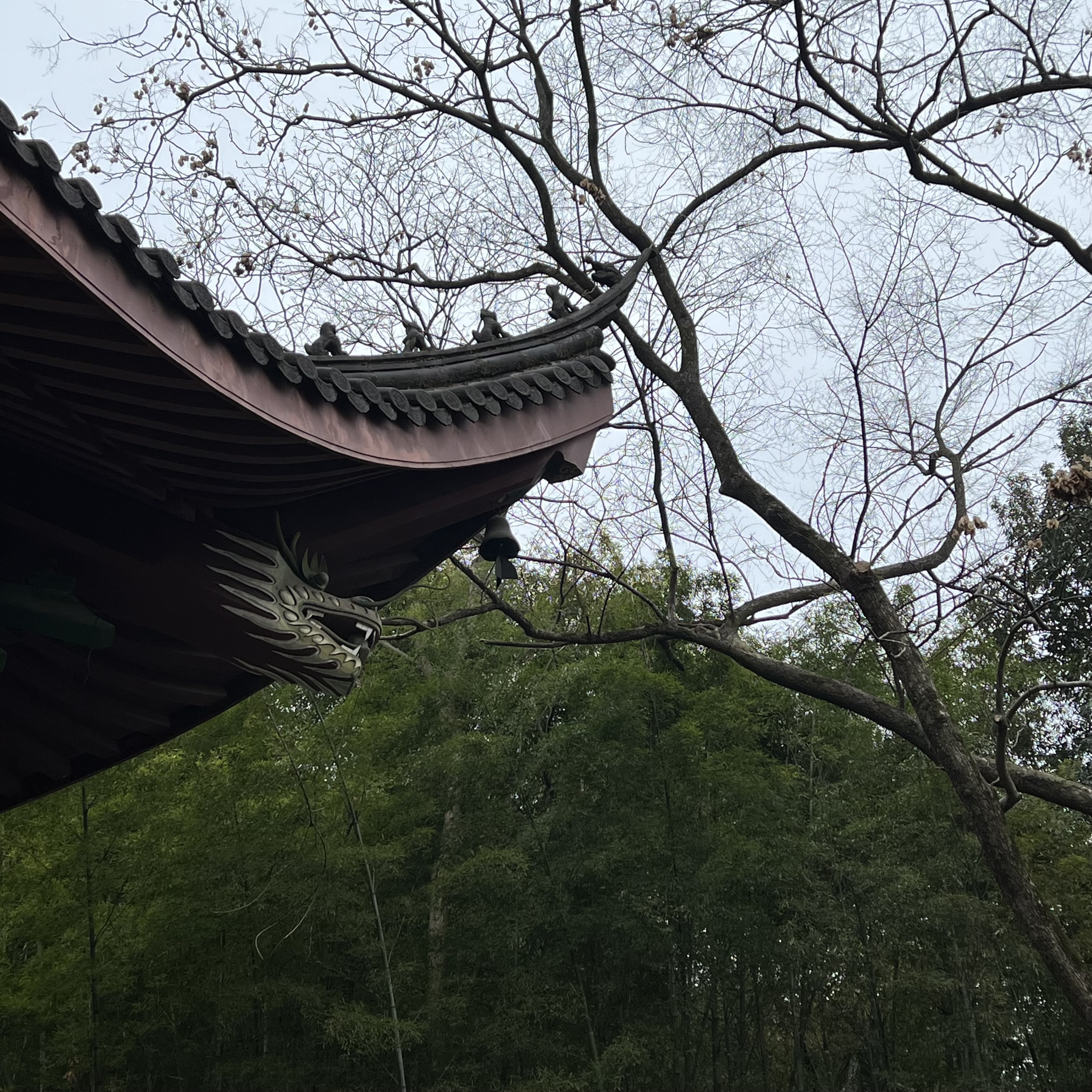 Featured image for 杭州之旅